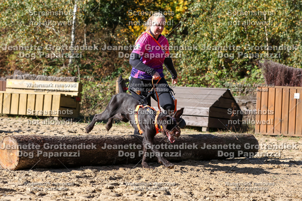 Dog Paparazzi - Strongdog 10-25-2917 | Dog Paparazzi Jeanette Grottendiek Fotografie & Videografie - Realisiert mit Pictrs.com