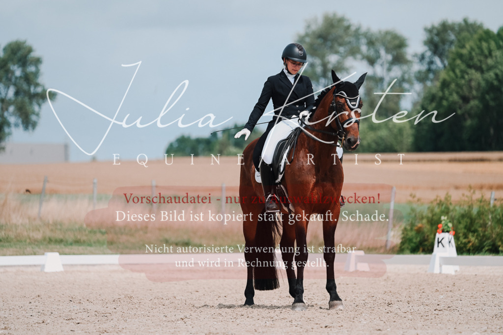 DSC_4355 | Pferde- und Turnierfotografie in Westsachsen. Pferdeportraits, Auftragszeichnungen und intuitive Kunst.