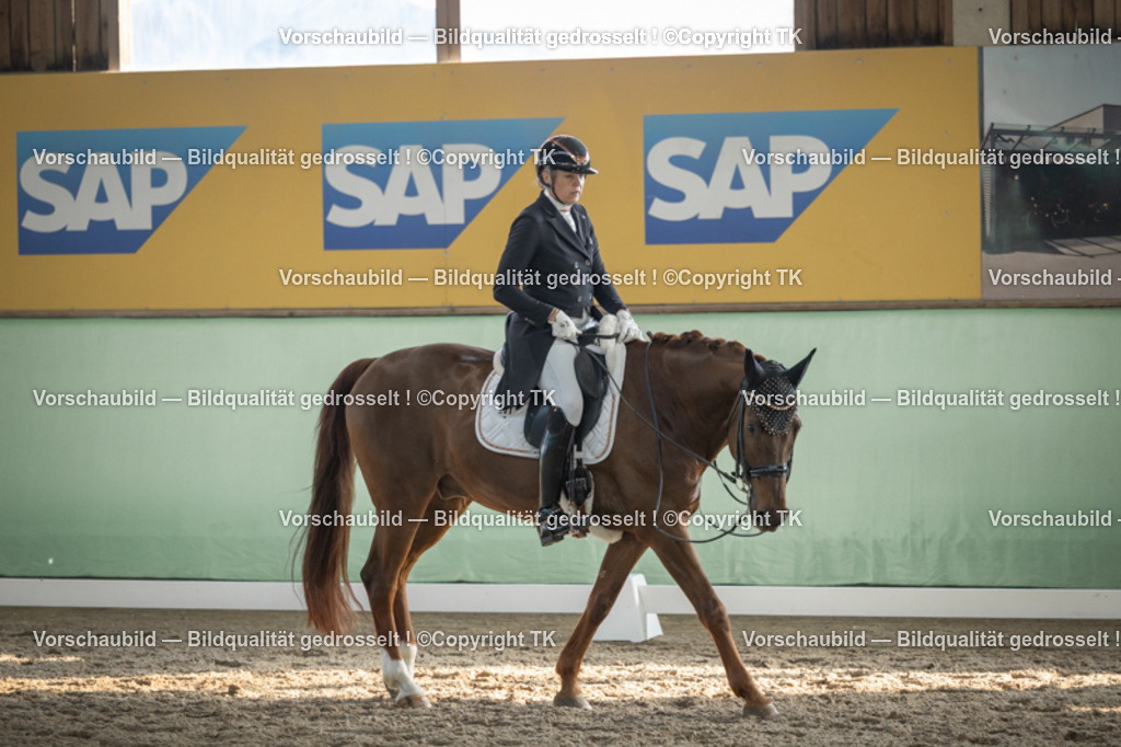 _D5A0613 | Emotionale Pferde- & People-Fotografie rund um Heidelberg, Leimen & Umgebung. Natürliche Fotos von Pferd, Mensch & Familie. Jetzt Termin sichern!