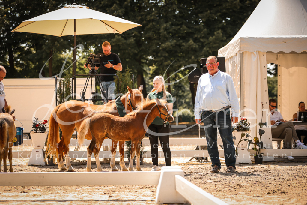 04.DoWP00108 | Leoni Ertmer Photography - Realisiert mit Pictrs.com