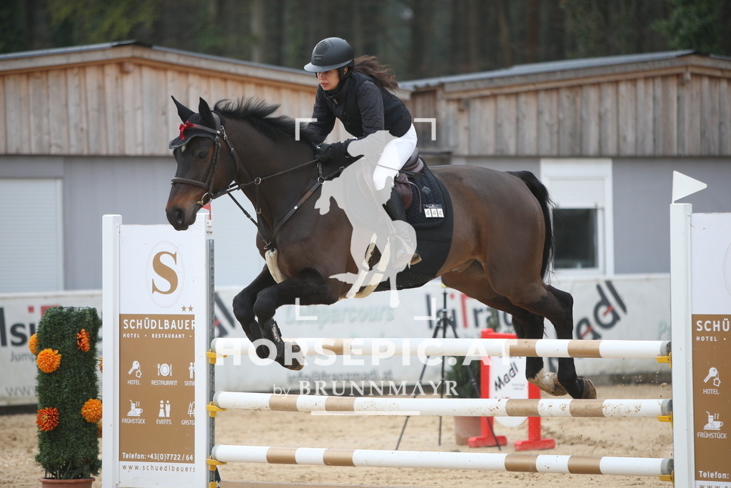 PP013399 | Willkommen bei Brunnmayr - Design & Fotografie – Ihrem Spezialisten für Reitturniere und Pferdeveranstaltungen in Oberösterreich, Salzburg und Bayern! Seit über 17 Jahren sind wir leidenschaftlich dabei.