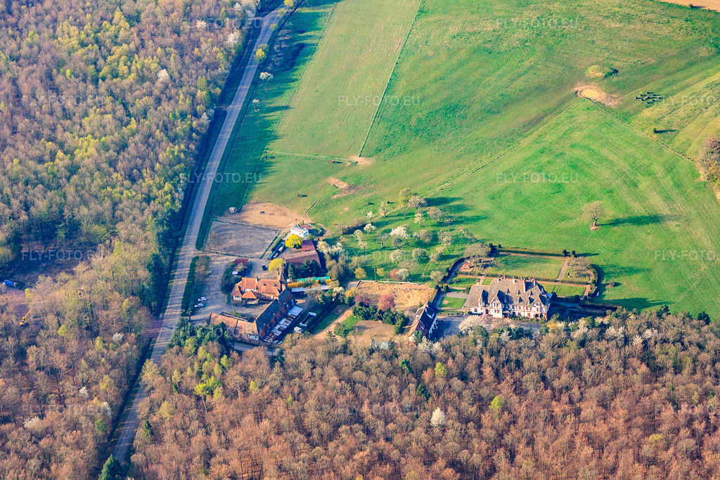 Vue aérienne: Ferme Mellon et Villa Le Riesack à Niederbronn-les-Bains dans le département Bas Rhin, France.Photo: IMG_63710.jpg prise le 30/03/2014 par Werner Riehm/FLY-FOTO.euRésolution de l'original: 4551 x 3034 pxFerme Mellon - Restaurant et chambres d'hôtesGite de groupe en Alsace. Fetes de famille. Villa le Riesack. Capacit\xc3\xa9: 30 \xc3\xa0 50 Personnes