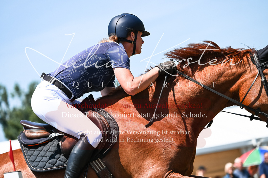 DSC_0137 | Pferde- und Turnierfotografie in Westsachsen. Pferdeportraits, Auftragszeichnungen und intuitive Kunst.