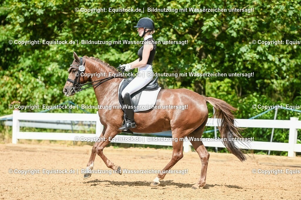 20230716_01_Dressurprüfung Kl.M_0338 | equistock
