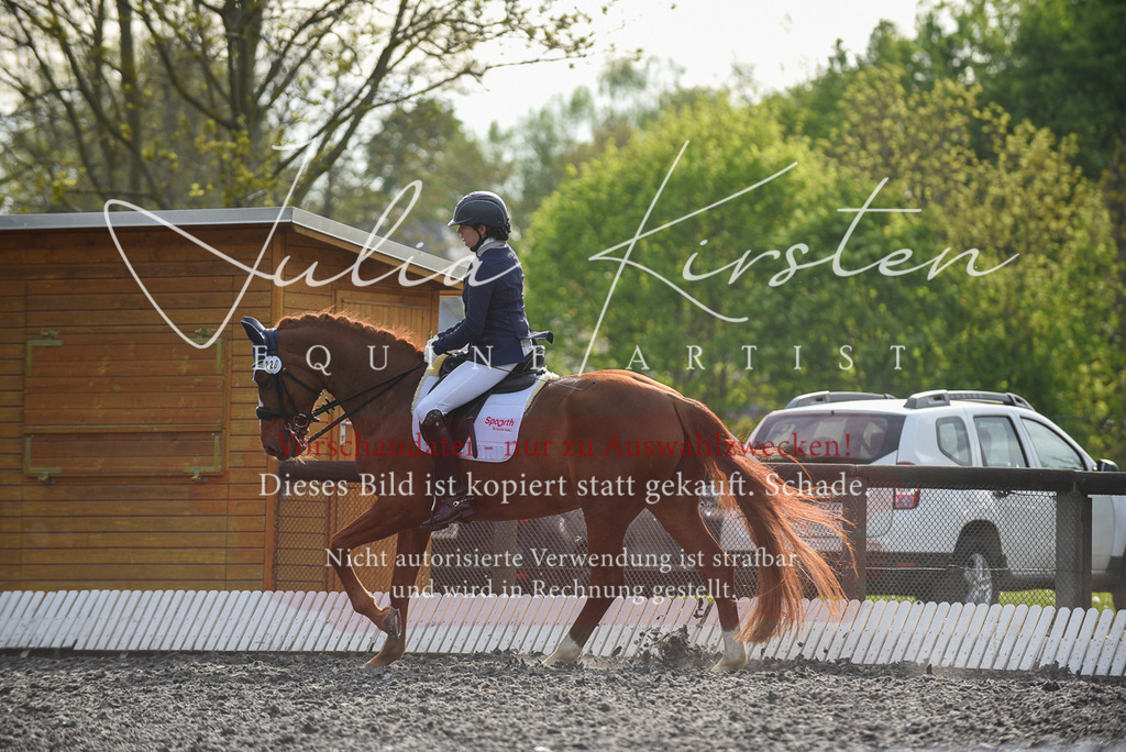 20230513_JK-Röhrsdorf-17-427 | Pferde- und Turnierfotografie in Westsachsen. Pferdeportraits, Auftragszeichnungen und intuitive Kunst.