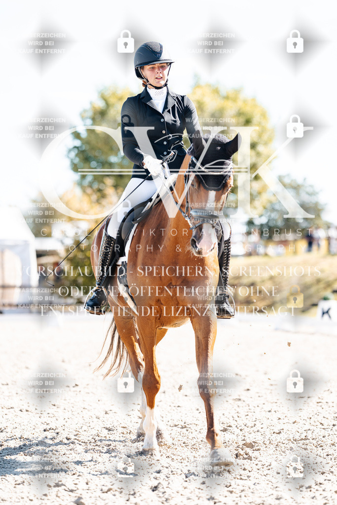 CK909201 | Turnierfotografie Pferdefotografie Trier Rheinland-Pfalz Pferdesport Reitsport Tierfotografie Sportfotografie Pferdevideo Pferdevideografie Equestrianvideography equestrianphotography  - Realisiert mit Pictrs.com