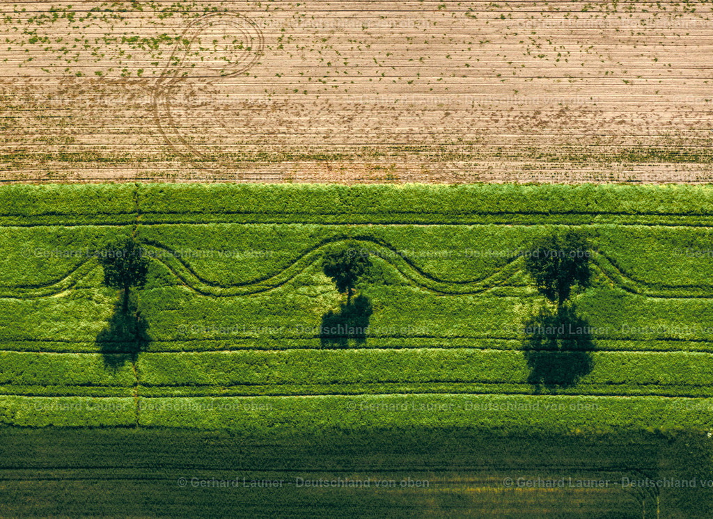9300154 | ARNSTEIN OT QUENSTEDT 24.05.2004 Blick auf Baum- und Feldstrukturen bei Quenstedt in Arnstein im Bundesland Sachsen-Anhalt. // View of tree and field structures near Quenstedt in Arnstein in the state Saxony-Anhalt. Foto: Gerhard Launer