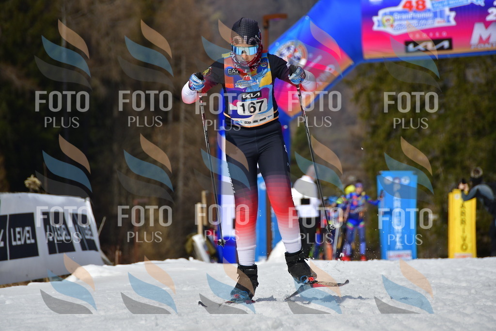 _DSC0525 | holidayphoto