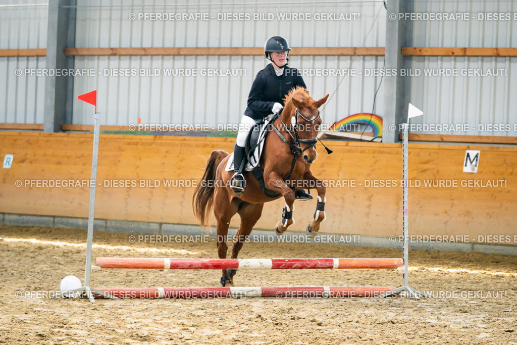 DSC01507 | Pferdegrafie