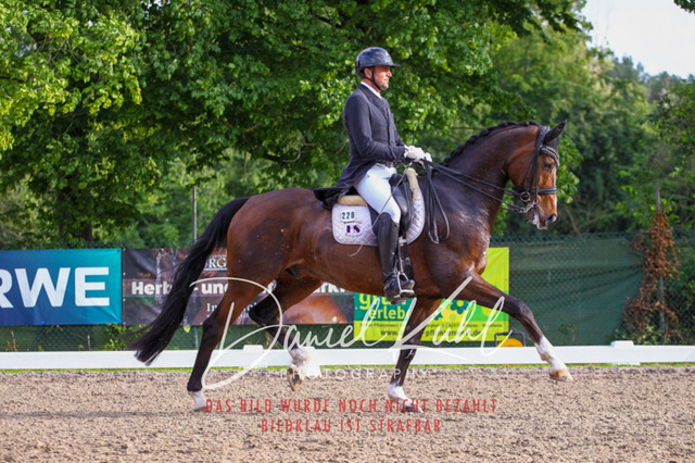 DKP41786 | Deine Turnierfotos vom Reitturnier online kaufen: Dressur, Springen & Siegerehrung. Professionelle Pferdefotografie aus dem Rheinland – als Download & Print.Alternative: Turnierfotograf für den Pferdesport: Finde deine Fotos von Dressur- und Springturnier