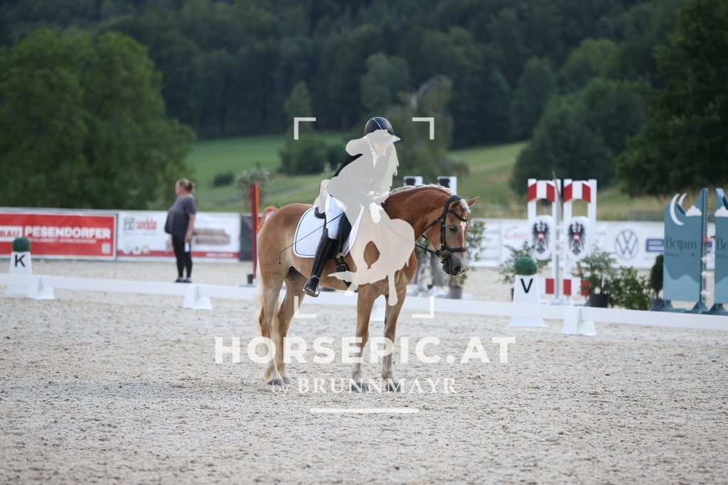 PP012534 | Willkommen bei Brunnmayr - Design & Fotografie – Ihrem Spezialisten für Reitturniere und Pferdeveranstaltungen in Oberösterreich, Salzburg und Bayern! Seit über 17 Jahren sind wir leidenschaftlich dabei.