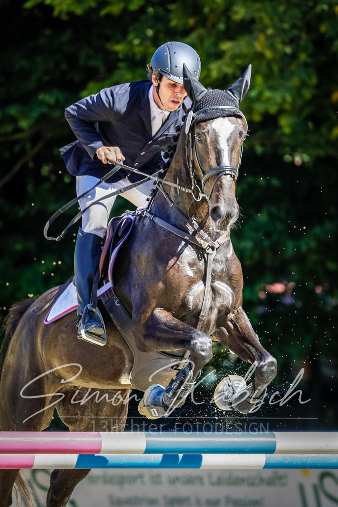 20250906-_3LI3780 | Tierfotografie Pferde, Hunde, Katzen, Haustiere.
Turnierfotografie Reitturniere, Reiten, Springreiten, Dressur in Hanau, dem Main-Kinzig-Kreis und dem Rhein-Main- Gebiet um Frankfurt
