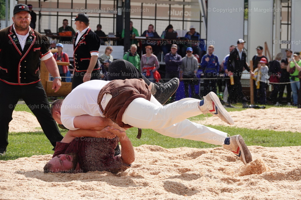 DSC00702 | Schwingen - Realisiert mit Pictrs.com