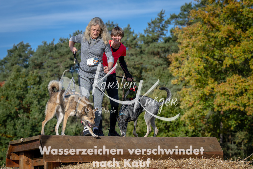 1030_ZZ90751 | kk-dogfotos