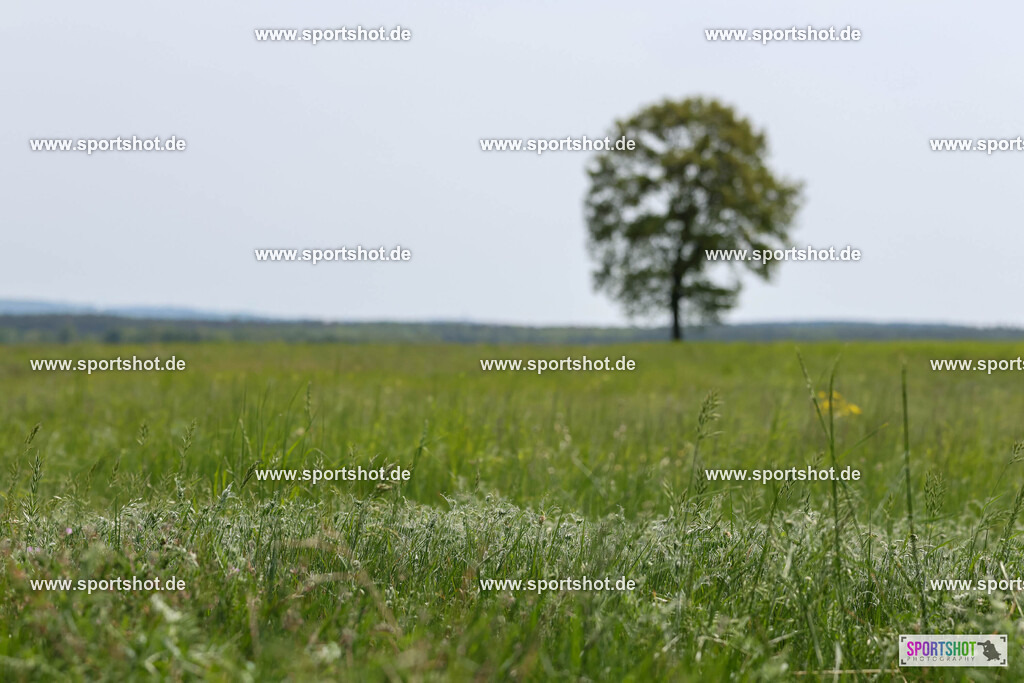 GY5A2781 | Neusiedler See Radmarathon 2025 #neusiedlerseeradmarathon #yourpictrs #sportshot_your_pictrs @Sportshotphotography Copyright:www.sportshot.de