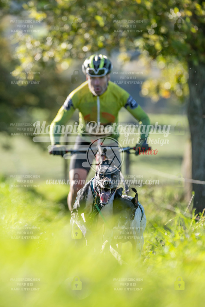 MompixPhotography_20TSB_E3_DS2-3 | PayLife