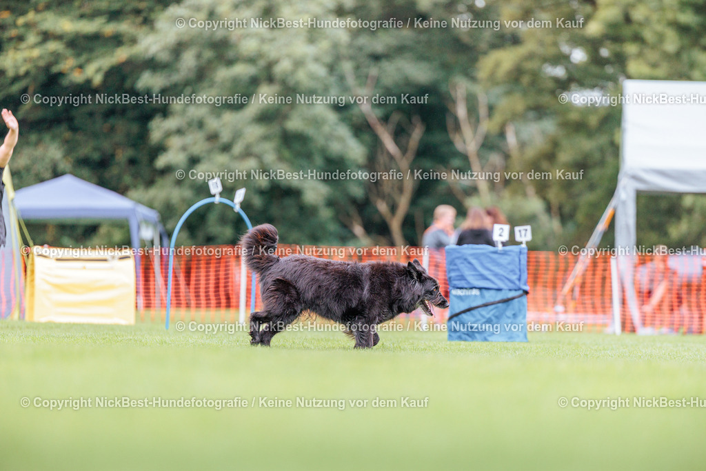 BSP Hoopers-H2-2026-Nickbest-Hundefotografie-TuS Komet Arsten e.V.-4072 | Dein Hund! Dein Moment! Deine Erinnerungen! Hundefotografie in Bremen Blumenthal. Ich fange die besonderen Momente deines Vierbeiners ein – ob Indoor mit Blitzanlage oder in der freien Natur. Sicher dir dein Moment und dein Termin für eure Erinnerungen.