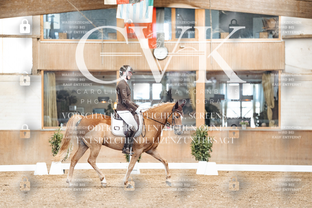 CK900820 | Turnierfotografie Pferdefotografie Trier Rheinland-Pfalz Pferdesport Reitsport Tierfotografie Sportfotografie Pferdevideo Pferdevideografie Equestrianvideography equestrianphotography  - Realisiert mit Pictrs.com
