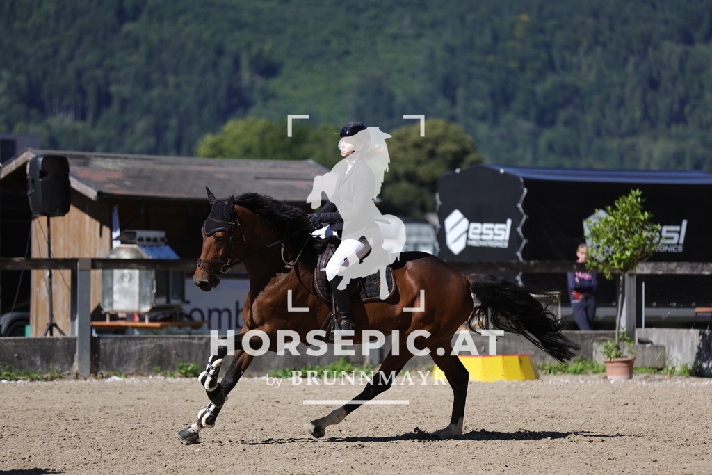0P6A5305 | Willkommen bei Brunnmayr - Design & Fotografie – Ihrem Spezialisten für Reitturniere und Pferdeveranstaltungen in Oberösterreich, Salzburg und Bayern! Seit über 17 Jahren sind wir leidenschaftlich dabei.