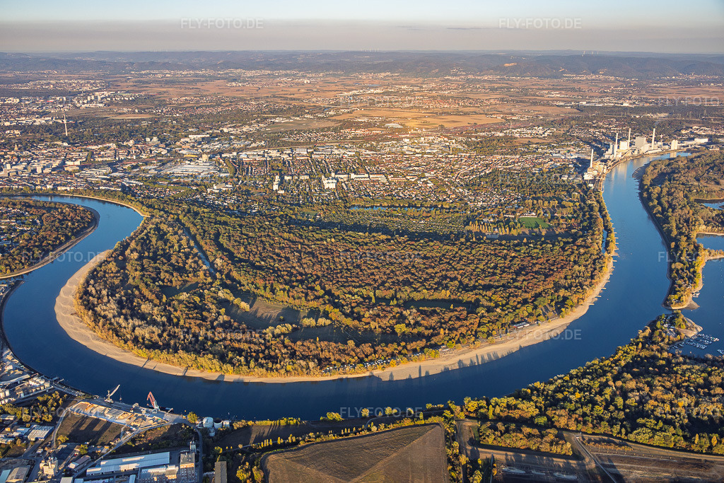 Luftbild: Niedrigwasser am Rhein um das Naturschutzgebiet Reißinsel / Kuckucksinsel im Ortsteil Niederfeld in Mannheim im Bundesland Baden-Württemberg in Deutschland. – Foto: IMG_159680.jpg vom 06.10.2026 durch Werner Riehm/FLY-FOTO.de – Auflösung des Originals: 6000 x 4000 px