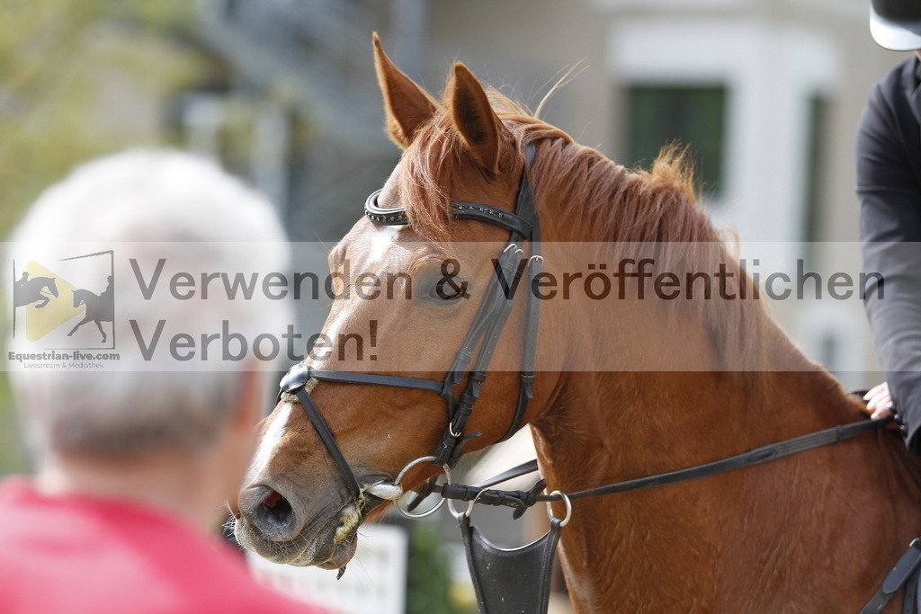 _MG_3010 | equestrian-live-com