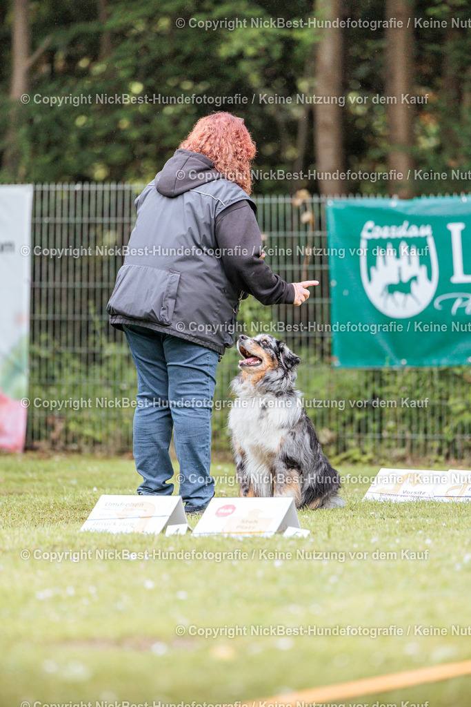 RO-Blumenthal-2026-Nickbest-Hundefotografie-3548 | Dein Hund! Dein Moment! Deine Erinnerungen! Hundefotografie in Bremen Blumenthal. Ich fange die besonderen Momente deines Vierbeiners ein – ob Indoor mit Blitzanlage oder in der freien Natur. Sicher dir dein Moment und dein Termin für eure Erinnerungen.