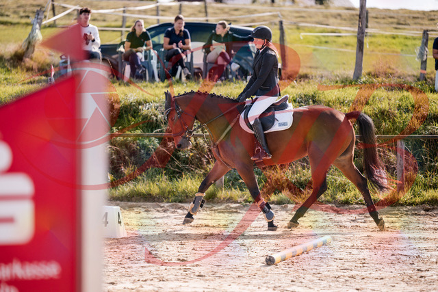 2026_10_03_Siefer-Hof_143545_Z81_04842561 | Professionelle Reitsport-, Turnier- und Eventfotografie von Robert Broda. Galerien mit ausgewählten und bearbeiteten Bildern direkt online ansehen und bestellen.