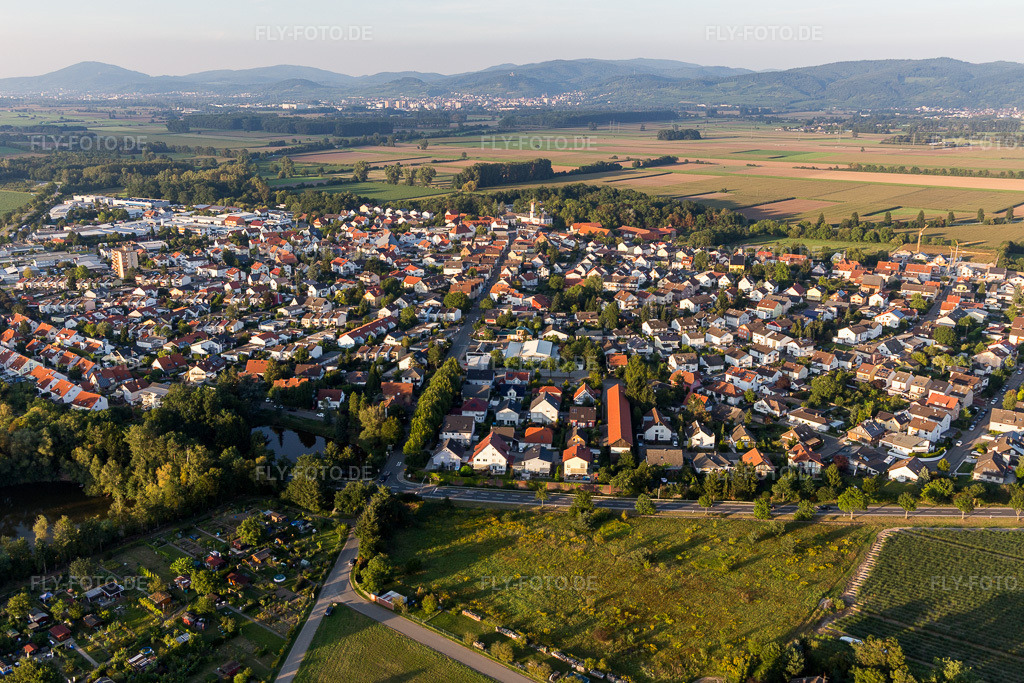Luftbild: Ortsansicht von Südwesten im Ortsteil Hüttenfeld in Lampertheim im Bundesland Hessen in Deutschland. Foto: IMG_103062.jpg vom 28.08.2017 durch Werner Riehm/FLY-FOTO.de