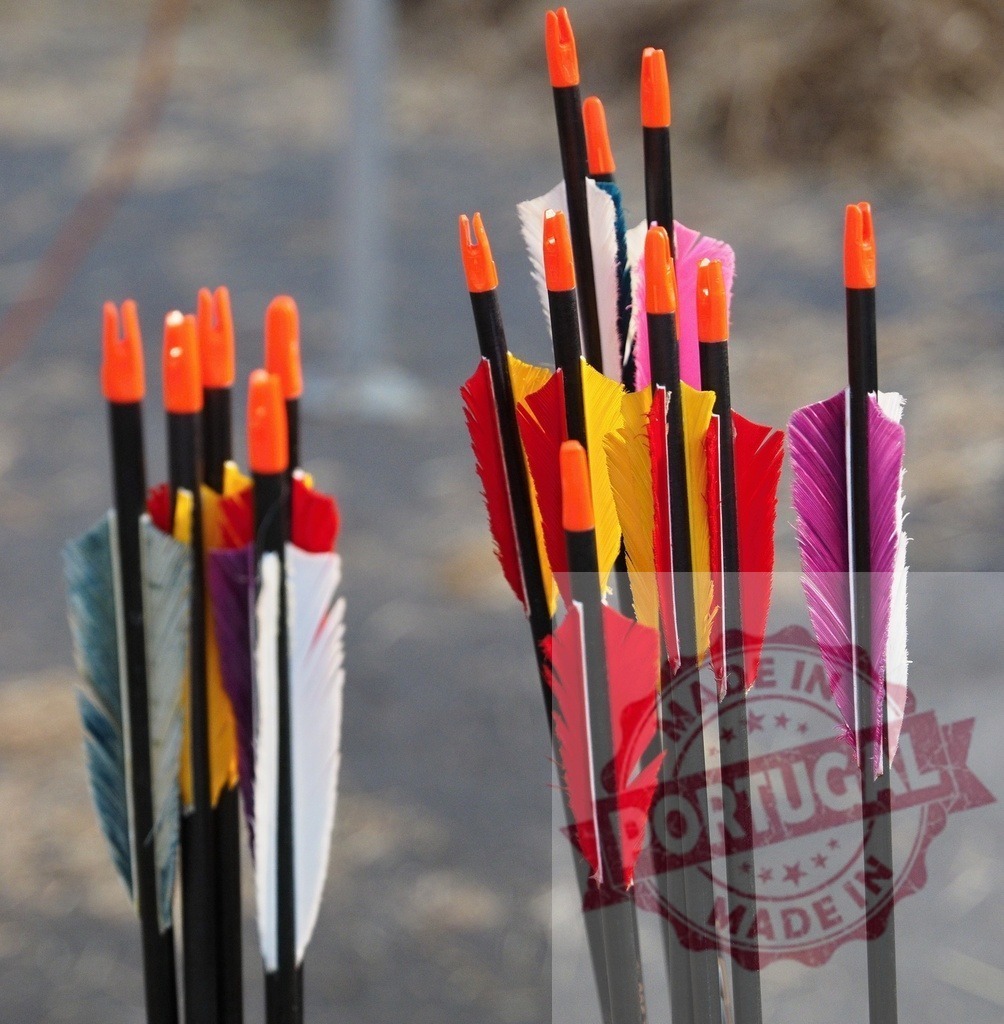 Archery arrows standing with colorful fletching and nocks | Archery arrows showing colorful fletching and nocks, ready for aiming and shooting - Realized with Pictrs.com