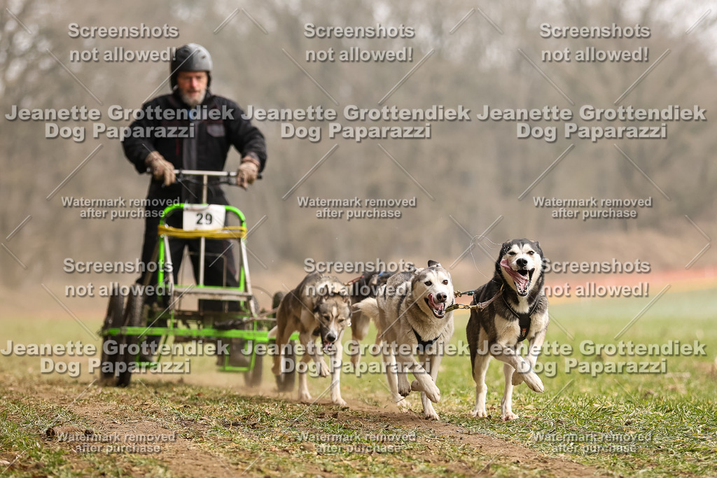 Dog Paparazzi - Plate 2026-102 | Dog Paparazzi Jeanette Grottendiek Fotografie & Videografie - Realisiert mit Pictrs.com