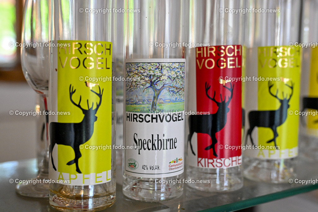 Thening_ Obstbauer Hirschvogel_ 07.05.2024-39 | 07.05.2024, Thening, AUT, Obstbauer Hirschvogel, im Bild Hirschvogel, Cider und Fruchtsaefte