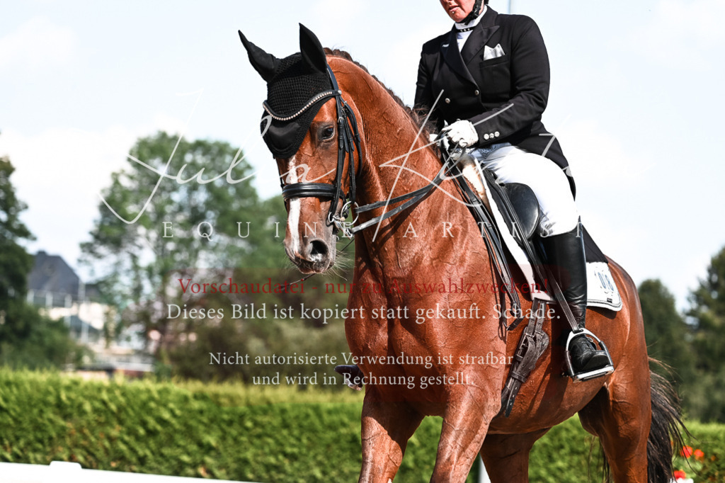 DSC_3261 | Pferde- und Turnierfotografie in Westsachsen. Pferdeportraits, Auftragszeichnungen und intuitive Kunst.