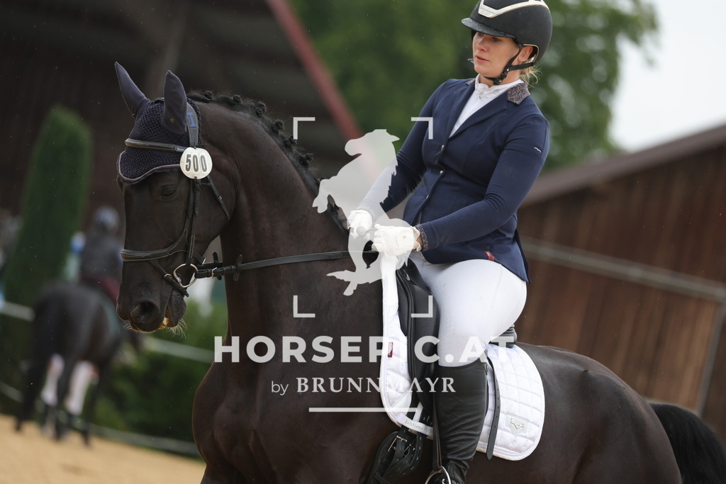 0P6A9963 | Willkommen bei Brunnmayr - Design & Fotografie – Ihrem Spezialisten für Reitturniere und Pferdeveranstaltungen in Oberösterreich, Salzburg und Bayern! Seit über 17 Jahren sind wir leidenschaftlich dabei.