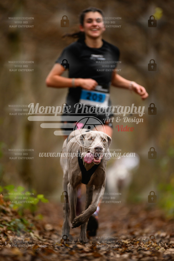 MompixPhotography_Eschau2024_CCC-32 | PayLife