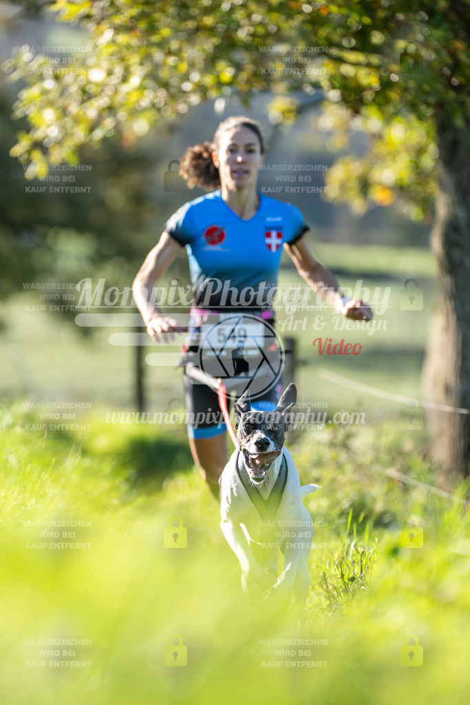 MompixPhotography_20TSB_E3_Run-109 | PayLife