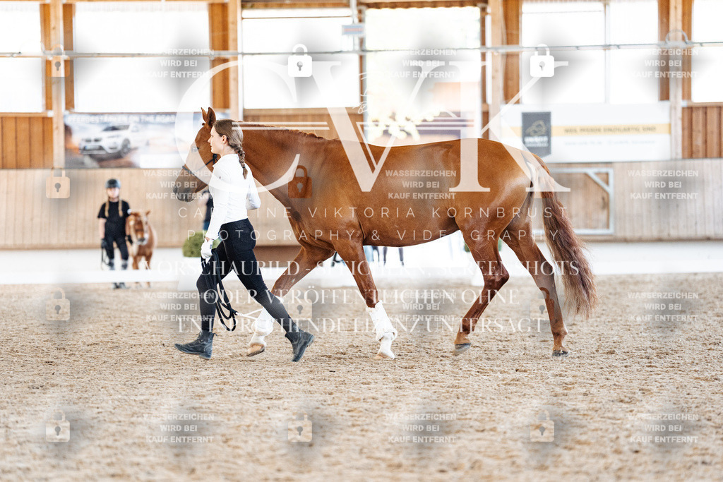 CK906938 | Turnierfotografie Pferdefotografie Trier Rheinland-Pfalz Pferdesport Reitsport Tierfotografie Sportfotografie Pferdevideo Pferdevideografie Equestrianvideography equestrianphotography  - Realisiert mit Pictrs.com