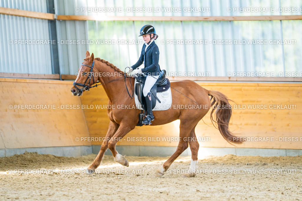 DSC08391 | Pferdegrafie