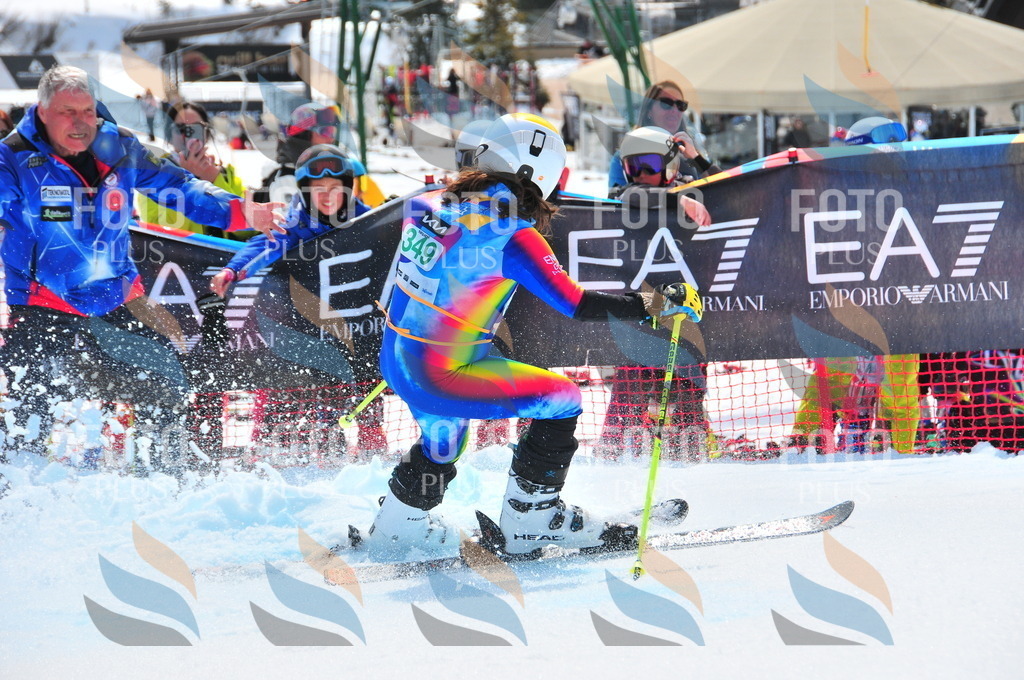 DSC_3144 | holidayphoto