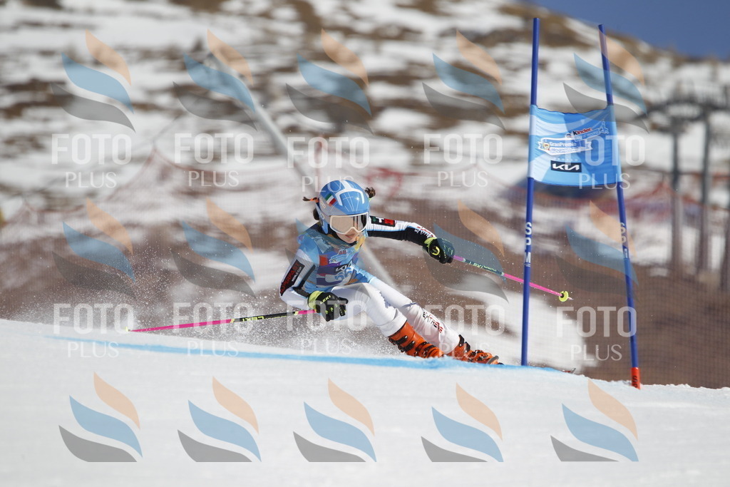 _U3G9726 | holidayphoto