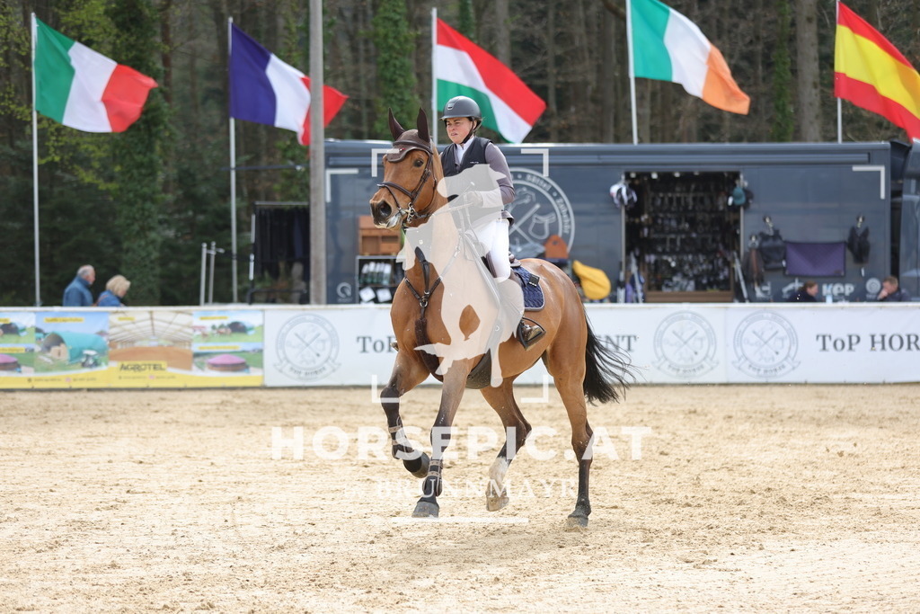 0P6A6878 | Willkommen bei Brunnmayr - Design & Fotografie – Ihrem Spezialisten für Reitturniere und Pferdeveranstaltungen in Oberösterreich, Salzburg und Bayern! Seit über 17 Jahren sind wir leidenschaftlich dabei.
