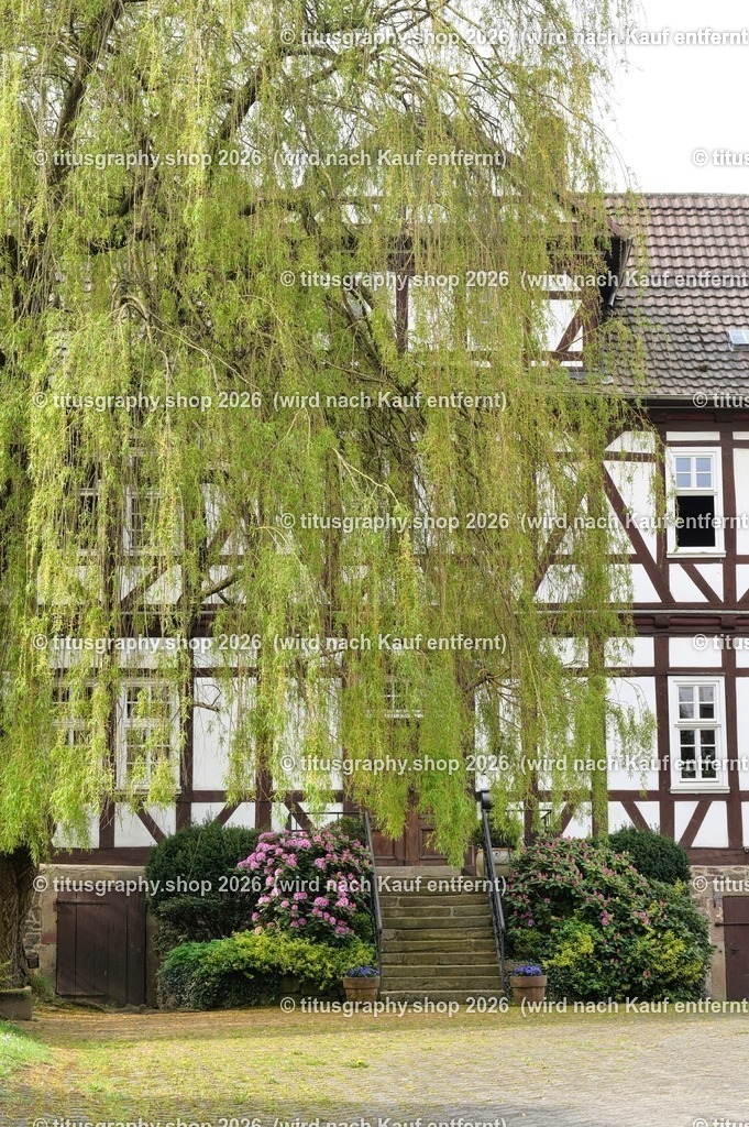 Oberkaufungen | titusgraphy-shop: Geschenkideen mit Qualitätsfotos. titusgraphy-shop: gift ideas with quality photos. titusgraphy-shop: idées cadeaux avec photos de qualité.  - Realisiert mit Pictrs.com