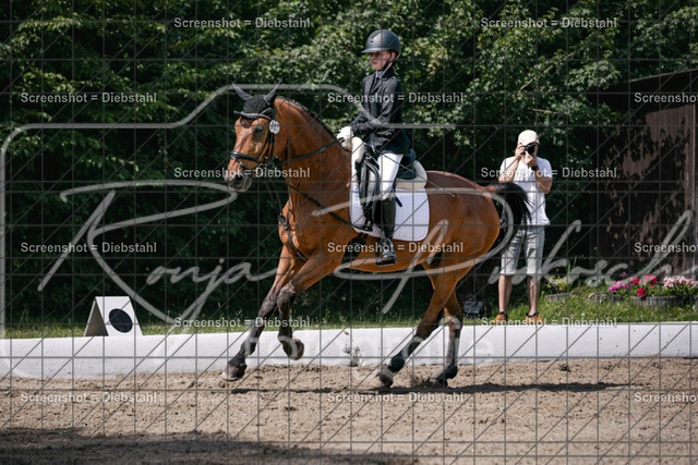 _W6A2231 | ronjaprokoschfotografie - Realisiert mit Pictrs.com