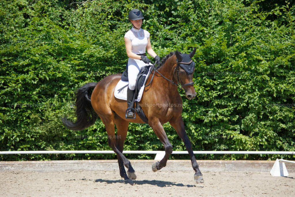 JHE_3738 | JoYa Fotografie - Realisiert mit Pictrs.com