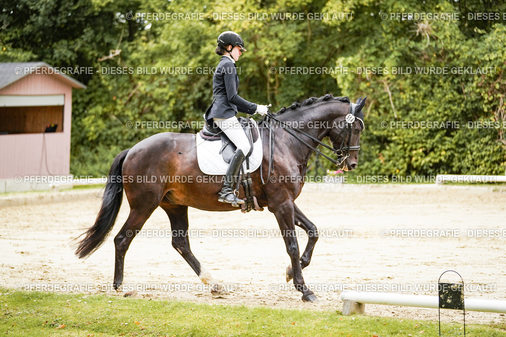 DSC03834 | Pferdegrafie