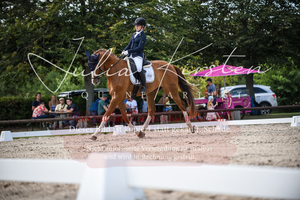 DSC_9387 | Pferde- und Turnierfotografie in Westsachsen. Pferdeportraits, Auftragszeichnungen und intuitive Kunst.
