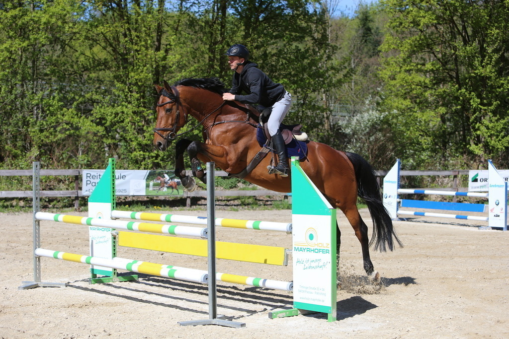 DL2Q3133 | Willkommen bei Brunnmayr - Design & Fotografie – Ihrem Spezialisten für Reitturniere und Pferdeveranstaltungen in Oberösterreich, Salzburg und Bayern! Seit über 17 Jahren sind wir leidenschaftlich dabei.