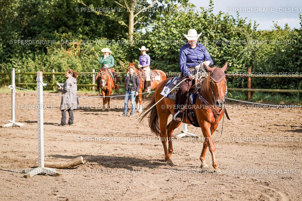 DSC00332 | Pferdegrafie