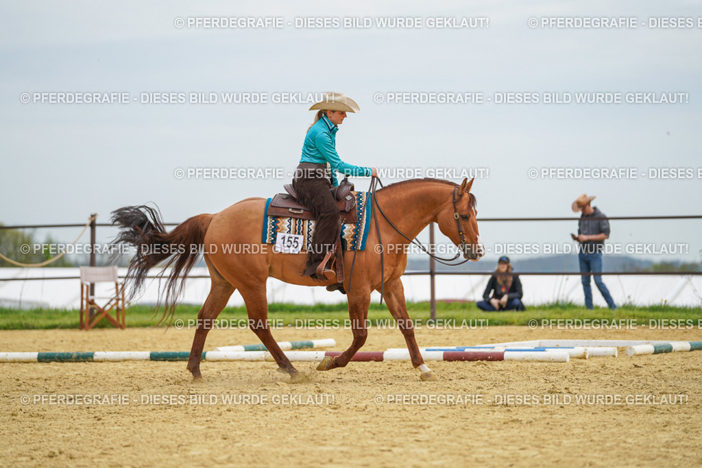 DSC03063 | Pferdegrafie