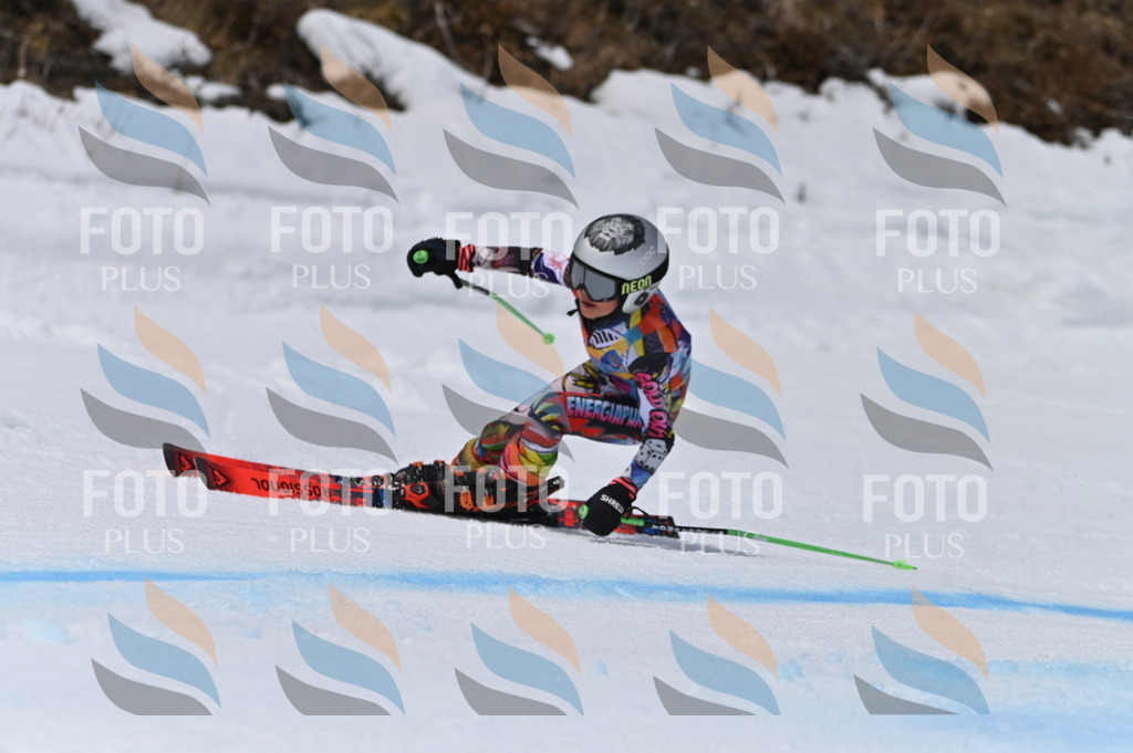 BGV_5226 | holidayphoto