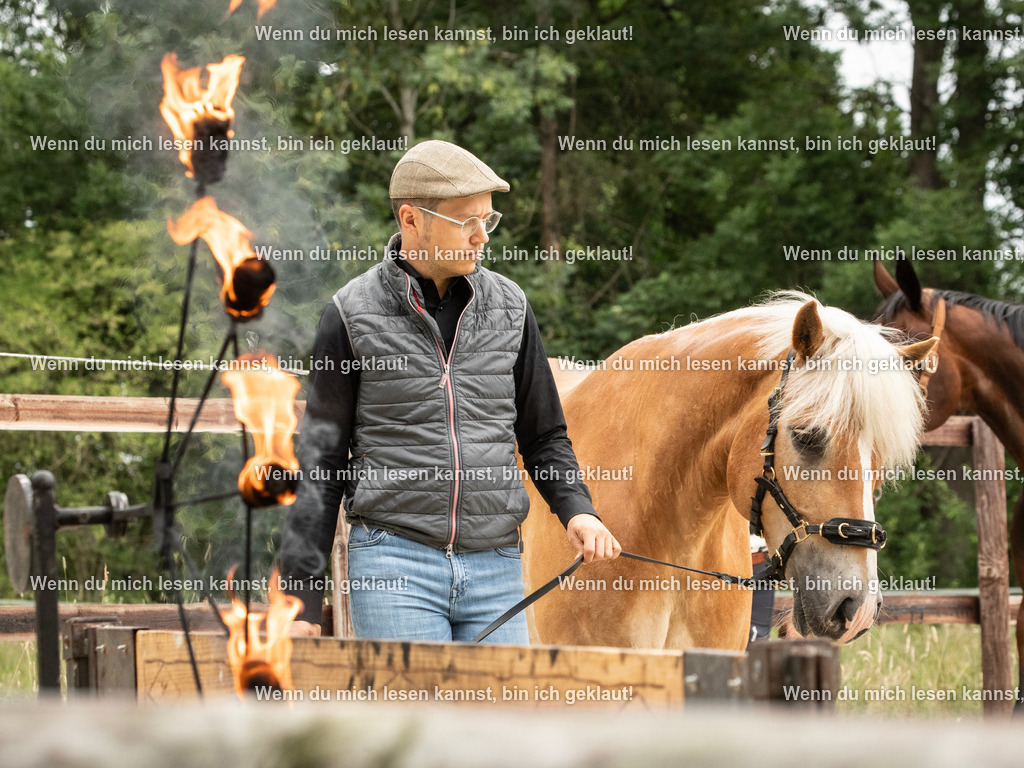 598A6951 | photographylinaismer - Realisiert mit Pictrs.com